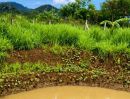 - ขายที่ดินพร้อมทำบ้านสวน 1 ไร่ ท่าคล้อ แก่งคอย สระบุรี ถมแล้ว มีบ่อน้ำ ราคาไม่ถึงล้าน