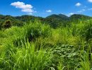 - ขายที่ดินพร้อมทำบ้านสวน 1 ไร่ ท่าคล้อ แก่งคอย สระบุรี ถมแล้ว มีบ่อน้ำ ราคาไม่ถึงล้าน