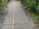 - ขายที่ดิน 125 ตรว. ทำเลดีติดถนน เดินทางสะดวก ใกล้แหล่งชุมชน
