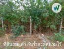 - ที่ดินแปลงใหญ่ 3-1-50.2 ไร่ เหมาะทำคอมมูนิตี้มอลล์ หรือตลาดนัด ติดถนนเมนบางกระดี่