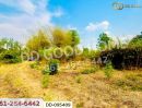 - ที่ดินมะเขือแจ้ 3 ไร่ 390 ตร.ว. เมืองลำพูน ใกล้ศาลจังหวัดลำพูน
