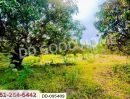- ที่ดินมะเขือแจ้ 3 ไร่ 390 ตร.ว. เมืองลำพูน ใกล้ศาลจังหวัดลำพูน