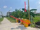 - ขายด่วน ที่ดินเปล่าทำเลทอง ใกล้สนามบินสุวรรณภูมิ ราคาดีที่สุดในโซน