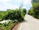  - ขายด่วน] ขายที่ดินธัญบุรี 50ตรว คลอง 8 ปทุมธานี ใกล้ถนนรังสิต-นครนายก เพียง 340 เมตร!