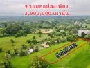 - ขายด่วนถูกมากๆ เจ้าของต้องการใช้เงิน ที่สวยทำเลดี มีน้ำใช้ทั้งปี แหล่งชุมชน ขายยกแปลง 5 ไร่ 77 ตารางว
