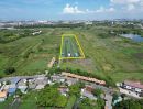 - ด่วน ที่ดินบางนา บางบ่อ 16 ไร่ ทำเลทองใกล้ ABAC บางนา ผังเมืองสีส้ม