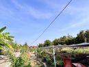 - ขายที่ดิน หลังโรงถ่ายกันตนา อ.บางใหญ่ จ.นนทบุรี