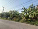  - ขายที่ดินถมแล้ว ใกล้สวนหลวง ร.9 บึงหนองบอน
