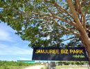 - ขายที่ดินถนนหลังวัดมาบตาพุด (ซอยลุงอ๋อง ตรงข้ามตลาดนิวนอมอล) เมืองระยอง JAMJUREE BIZ PARK