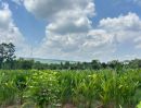 - ที่ดินสวยใกล้เขาใหญ่ ราคาพิเศษ เริ่มต้นเพียง 490,000 บาท
