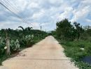 - ที่ดินสวยใกล้เขาใหญ่ ราคาพิเศษ เริ่มต้นเพียง 490,000 บาท