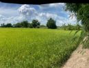  - ขาย ที่ดินเปล่า ต.หนองเพรางาย อ.ไทรน้อย จ.นนทบุรี