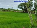  - ขาย ที่ดินเปล่า ต.หนองเพรางาย อ.ไทรน้อย จ.นนทบุรี