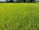  - ขาย ที่ดินเปล่า ต.หนองเพรางาย อ.ไทรน้อย จ.นนทบุรี