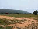 - ที่ดินสวยราคาถูกสุดๆ ต.เพนียด อ.โคกสำโรง จ.ลพบุรี