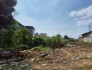  - ขายที่ดินผังสีม่วง 384 ตร.ว. พระประแดง ใกล้ทางด่วนสุขสวัสดิ์และวงแหวนอุตสาหกรรม ตารางวาละ 25,000 บาท