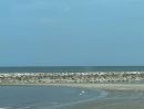  - ที่ดินใกล้ทะเลหาดเจ้า ห่างหาดประมาณ 800 เมตร ยกแปลง 1.5 ล้าน ถูกสุดๆ