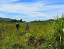  - ที่ดิน ต.วังเพลิน อ.โคกสำโรง จ.ลพบุรี เนื้อที่ 100 ตรว. กว้าง 17.01 ลึก 30.79 เมตร ราคา 120,000 บาท