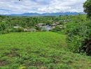  - ขายที่ดินบ้านถ้ำเชียงดาววิวดอยหลวงโฉนดพร้อมโอน