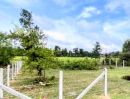  - ที่ดินแปลงเล็ก สำหรับอยู่อาศัย ใกล้ถนนสายหลัก หมายเลข 24 อ.นางรอง บุรีรัมย์