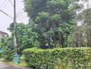  - ขายที่ดินตำบลช้างเผือกใกล้หอประชุมมหาวิทยาลัยเชียงใหม่