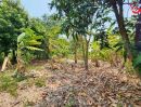 - ขายที่ดินถมแล้ว 400 ตร.ว. วัดลาดปลาดุก บางคูรัด บางบัวทอง นนทบุรี