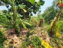 - ขายที่ดินถมแล้ว 400 ตร.ว. วัดลาดปลาดุก บางคูรัด บางบัวทอง นนทบุรี