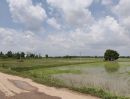 - ขายที่ดิน ที่นา พิษณุโลก อำเภอวังทอง 19 ไร่ สวยมาก วิวนาสวย อากาศดี เงียบสงบ