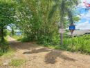  - ขายที่ดิน 300 ตร.ว. ตำบลขุนคง อำเภอหางดง เชียงใหม่ แปลงสวย ใกล้บ้านถวาย