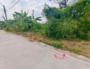  - ขายที่ดินนนทบุรีพระแม่การุณย์ทำเลดีราคาถูกมาก