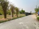  - ขายที่ดินตำบลสันผักหวานบ้านดอนไฟหางดงพร้อมโอน