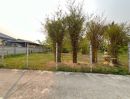  - ขายที่ดินตำบลสันผักหวานบ้านดอนไฟหางดงพร้อมโอน