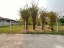  - ขายที่ดินตำบลสันผักหวานบ้านดอนไฟหางดงพร้อมโอน