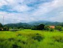  - ขายที่ดินบ้านปงหางดงวิวสวยติดถนนคอนกรีตพร้อมโอน