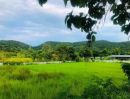  - ขายที่ดินบ้านปงหางดงวิวสวยติดถนนคอนกรีตพร้อมโอน