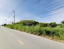 - ที่ดินบางเพรียง 2 ไร่ ต่ำกว่าราคาประเมิน