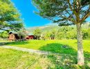 - เขาใหญ่ หมูสี ที่ดินวิวภูเขา 360 องศา บ้านน็อคดาวน์ 3 หลัง 1 ไร่ 23 ตร.ว. ใจกลาง ปากช่อง กรีนเนอรี่ รีสอร์ท 500 ม.