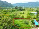 - เขาใหญ่ หมูสี ที่ดินวิวภูเขา 360 องศา บ้านน็อคดาวน์ 3 หลัง 1 ไร่ 23 ตร.ว. ใจกลาง ปากช่อง กรีนเนอรี่ รีสอร์ท 500 ม.