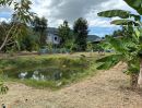  - ขายสวนผสมพร้อมบ้าน ทำเลใกล้เขายายดา ตะพง จ.ระยอง