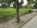  - ประกาศขายที่ดินแปลงใหญทำเลศักยภาพสูง ติดถนน 2 ด้าน เหมาะสำหรับนักลงทุนและพัฒนาโครงการในอนาคต แปลงที่ 1ติดถนนบรมราชชนนีติดตลาดธนบุรีเนื้อที่ 5-2-99 ไร่