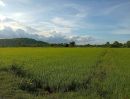 - ขายที่ดิน 9 ไร่ ใกล้แหล่งชุมชนเขารักษ์, ห้วยกระเจา, กาญจนบุรี