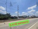 - ขาย ที่ดินเปล่า ติดถนน พื้นที่ 2 ไร่ 304 ตร.วา หน้ากว้าง 81 เมตร ทำโฮมสเตย์หรือรีสอร์ทได้