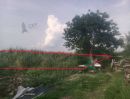 - ขาย ที่ดินเปล่า ราคาถูกมาก 100 ตร.วา ในซอยเคหะการเกษตร ใกล้เซ็นทรัล เวสวิลล์