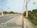 - ที่ดินสวนลำไย ติดถนนใหญ่และแม่น้ำทา เดินทางสะดวก เนื้อที่ 3 ไร่ 262.1 ตรว ต.ม่วงน้อย อ.ป่าซาง จ.ลำพูน