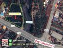 - ที่ดินสวนลำไย ติดถนนใหญ่และแม่น้ำทา เดินทางสะดวก เนื้อที่ 3 ไร่ 262.1 ตรว ต.ม่วงน้อย อ.ป่าซาง จ.ลำพูน