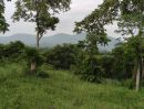 - ขายที่วังไทร เขาใหญ่ ที่บนเนิน 3.5ไร่ ใกล้ My ozone Movenpick khaoyai ถนนกว้างไฟฟ้าผ่านหน้าที่ วิวเขาสวยมาก หลังพิงเขา แถมที่ครอบครอง12ไร่ ปากช่อง