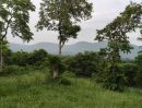 - ขายที่วังไทร เขาใหญ่ ที่บนเนิน 3.5ไร่ ใกล้ My ozone Movenpick khaoyai ถนนกว้างไฟฟ้าผ่านหน้าที่ วิวเขาสวยมาก หลังพิงเขา แถมที่ครอบครอง12ไร่ ปากช่อง