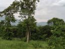 - ขายที่วังไทร เขาใหญ่ ที่บนเนิน 3.5ไร่ ใกล้ My ozone Movenpick khaoyai ถนนกว้างไฟฟ้าผ่านหน้าที่ วิวเขาสวยมาก หลังพิงเขา แถมที่ครอบครอง12ไร่ ปากช่อง