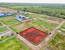- ที่ดินแปลงเล็ก เหมาะทำบ้านพักตำบล บึงบา อำเภอ หนองเสือ ปทุมธานี