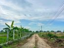 - ที่ดินแปลงเล็ก เหมาะทำบ้านพักตำบล บึงบา อำเภอ หนองเสือ ปทุมธานี